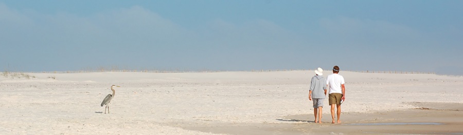 Social Security Planning